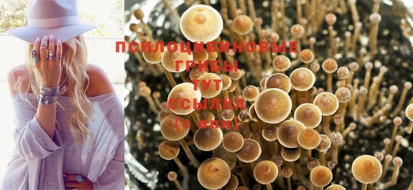 дмт Баксан