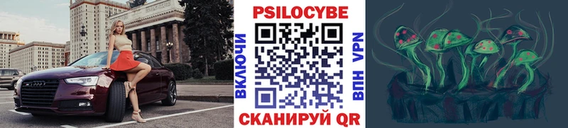 как найти наркотики  Раменское  mega   Галлюциногенные грибы GOLDEN TEACHER 